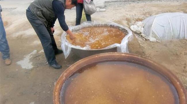 为什么要温汤浸种