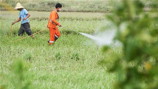 混合、交替使用除草剂