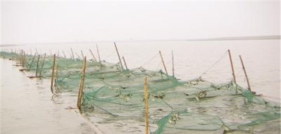 水质管理