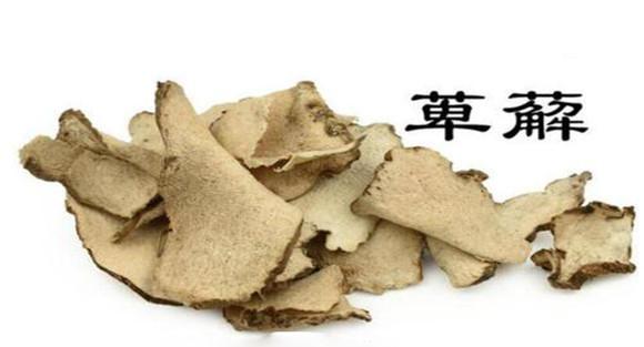 萆薢的用法，用量与禁忌