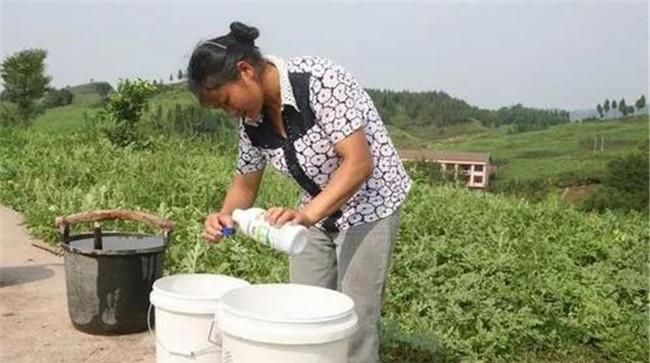 要注意化肥的适量混合施用