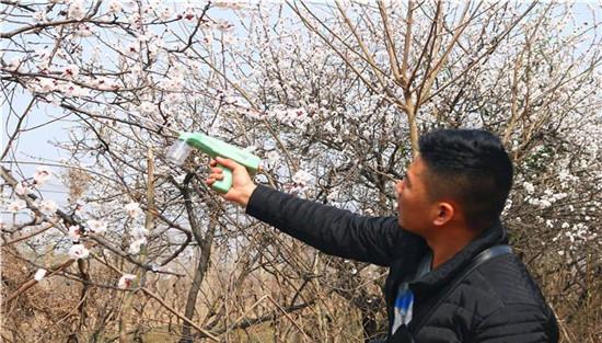 果树的液体授粉