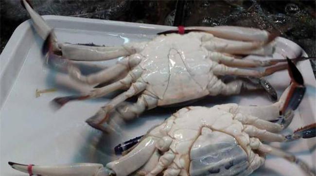 梭子蟹冷冻后还能吃吗