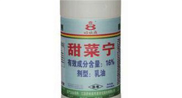 甜菜宁使用方法和注意事项