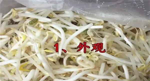 如何挑选豆芽