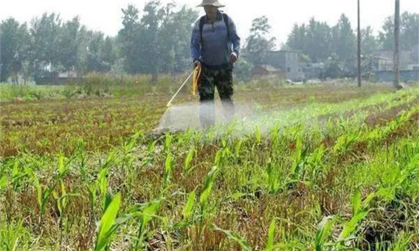 土壤因素