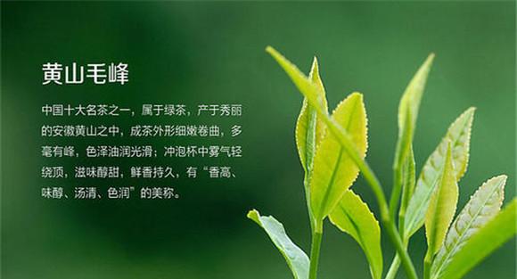 黄山毛峰属于什么茶