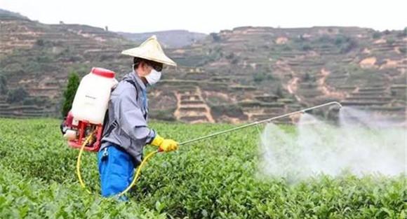 喷洒农药注意事项