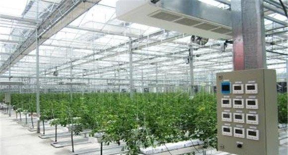 番茄无土栽培的定植要求