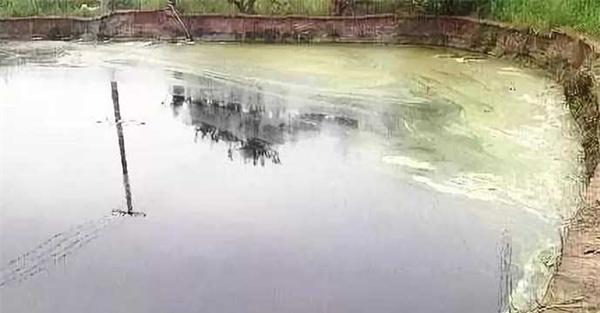 水产亚硝酸盐高怎么降下来