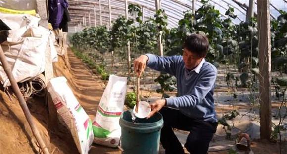 水溶肥料怎么使用效果更好