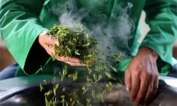绿茶适度杀青的标准