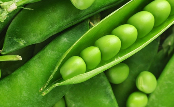 荷兰豆的功效与作用