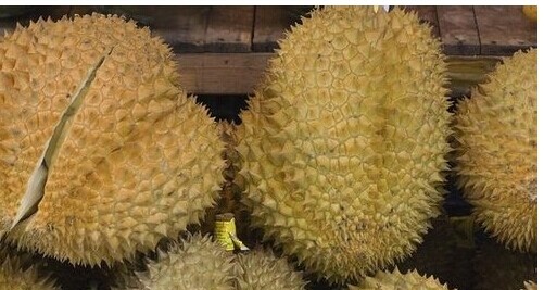 榴莲的功效与作用