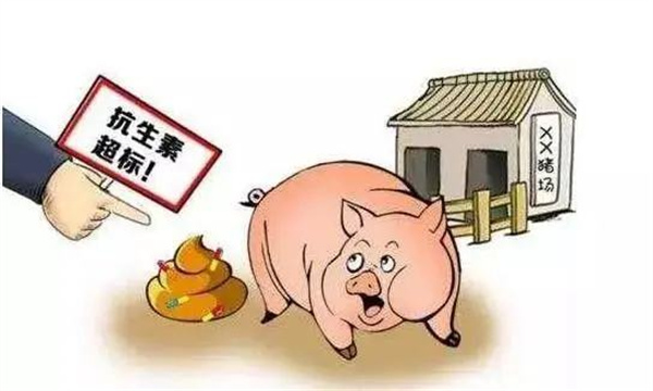 为什么在饲料中禁止使用抗生素
