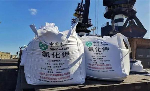 施用钾肥时需注意哪些问题