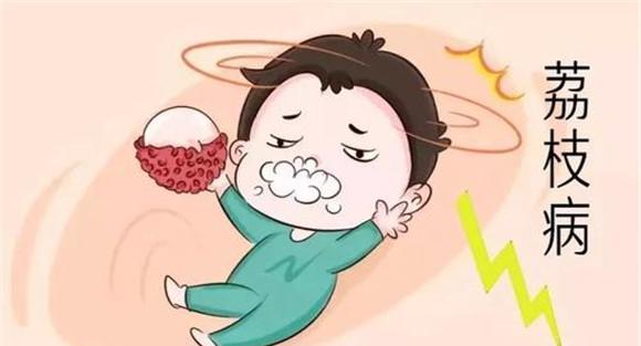 荔枝病的发病规律