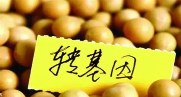 我国标识的农业转基因产品有哪些