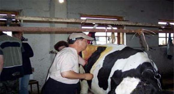 牛前胃弛缓的治疗方法