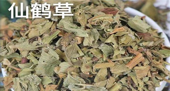 仙鹤草的性味与功效
