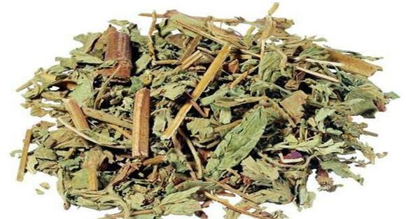 仙鹤草临床应用与组方
