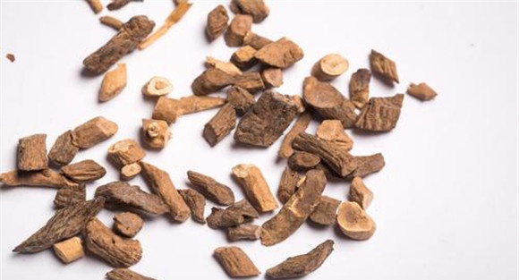 板蓝根的用法用量与禁忌