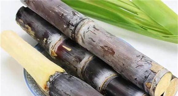 甘蔗的药用价值及功效
