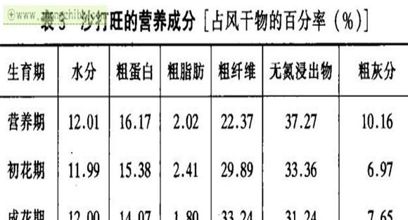 沙打旺的功效与作用