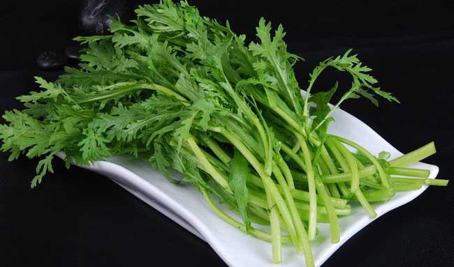 孕妇能不能吃茼蒿