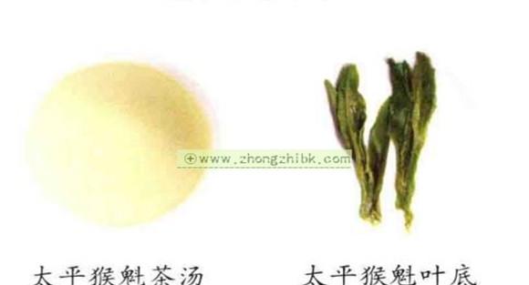 太平猴魁属于什么茶