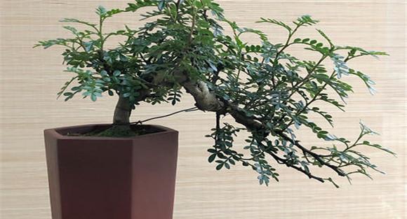 及时保活