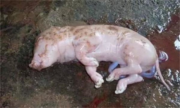 合群不当