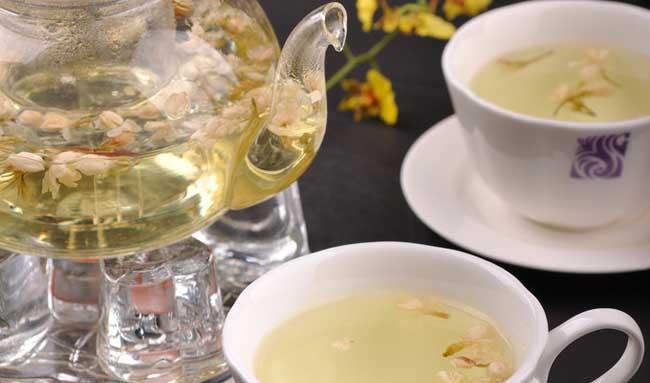 茉莉花的功效与作用