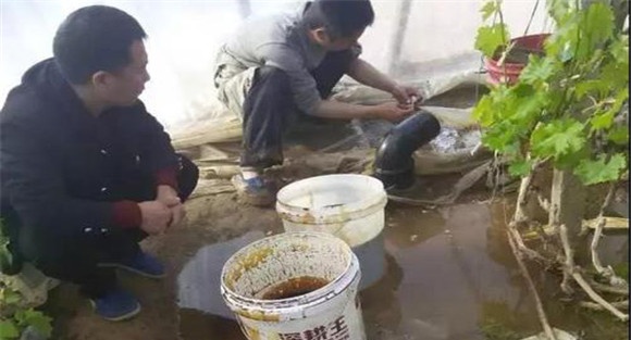 冲施肥配方标准