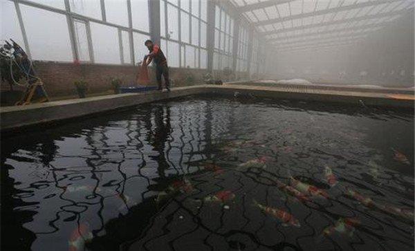 常用的提高春季水温的方法