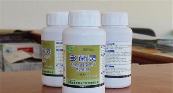 多菌灵的作用和用途 使用多菌灵注意事项有哪些