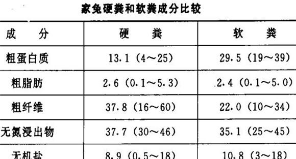 家兔的食粪行为