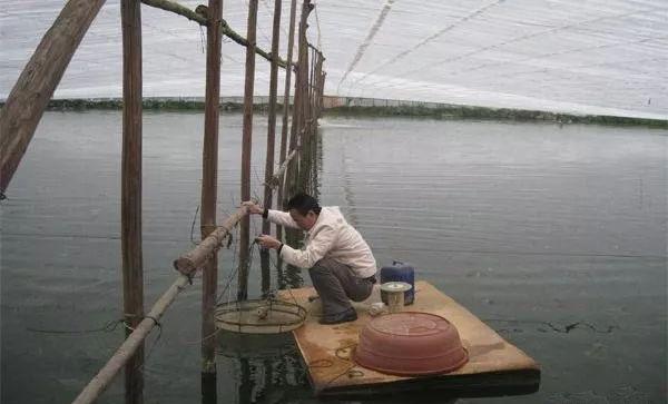 墙洞防寒害
