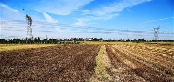 小麦的播前准备