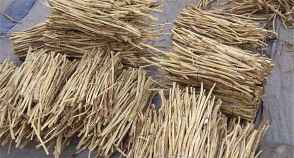 甘草的采收加工须知