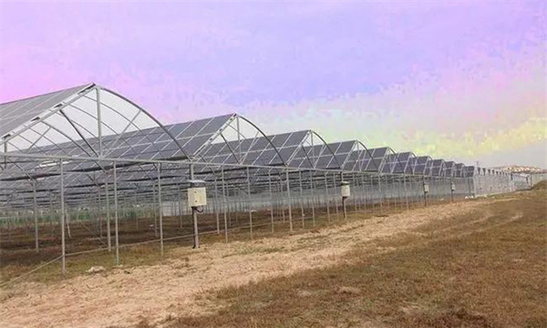 怎样进行保护地土壤消毒