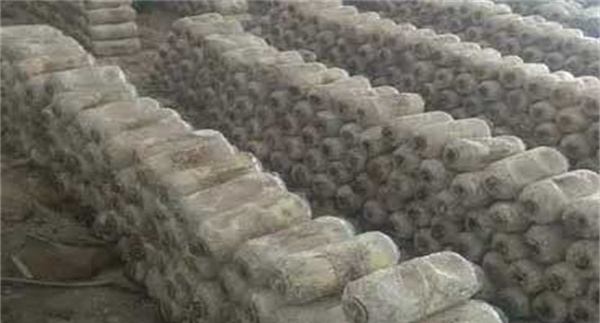 目前国内平菇袋料栽培有哪些方法