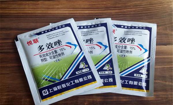 如何正确使用多效唑