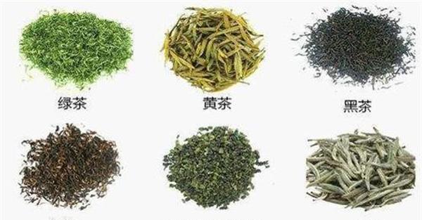 我国基本茶类分为哪几大类