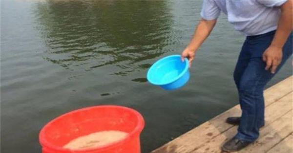 给鱼投药需注意事项