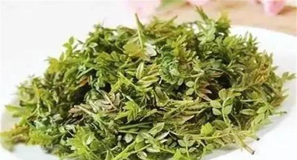 花椒芽苗菜如何进行畦地生产