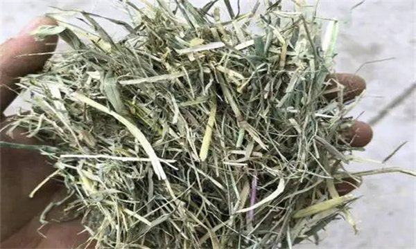 叶片含量