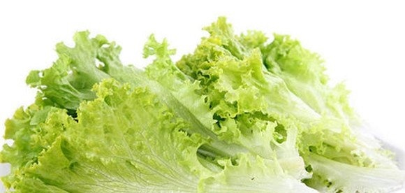 生菜的营养成分