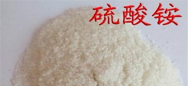 硫酸铵是什么肥料