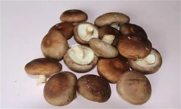 蘑菇重金属含量是否超标